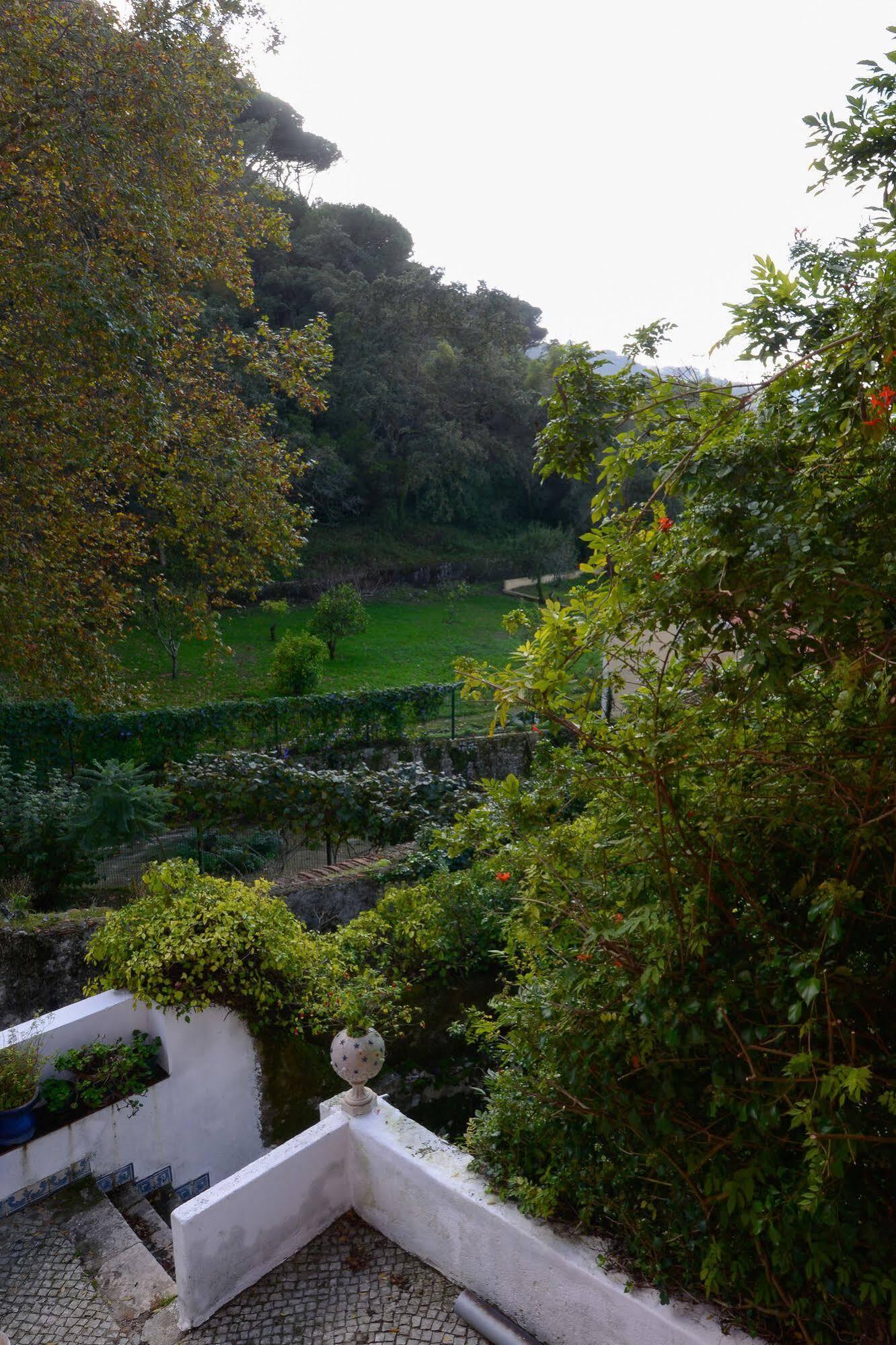 Quinta De Sao Tadeu Hotel Sintra Exterior photo